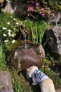 140531-k5.jpeg