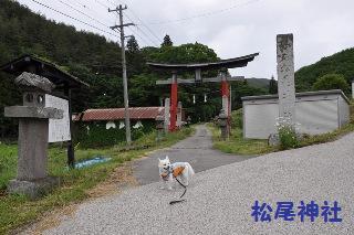 140608-k9.jpeg