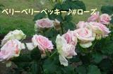 140614-1.jpg