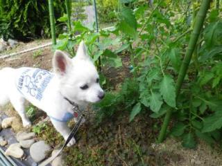 140617-1.jpg