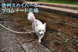 140706-k1.jpeg