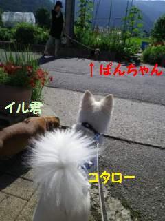 140708-3.jpg