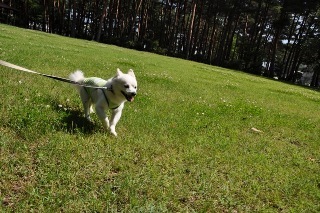 140712-k4.jpeg