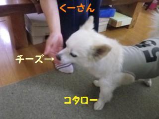 140716-1.jpg