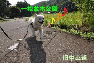 140721-k1.jpeg