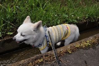140721-k14.jpeg