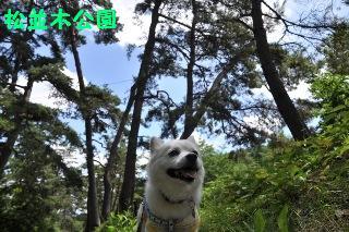 140721-k15.jpeg