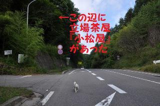 140721-k7.jpeg