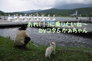 140727-k3.jpeg