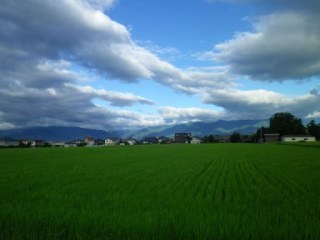 140806-1.jpg