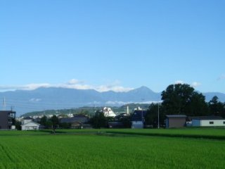 140807-1.jpg