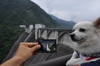 140814-k14.jpeg