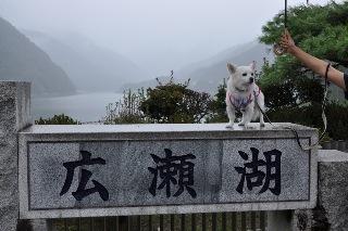 140814-k5.jpeg