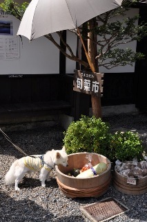 140824-k1.jpeg