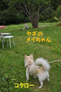 140824-k8.jpeg