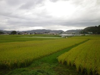 140831-1.jpg