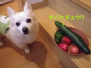 140901-2.jpg