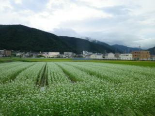 140905-3.jpg