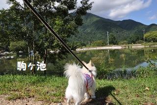 140907-k11.jpeg