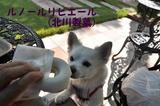 140907-k13.jpeg