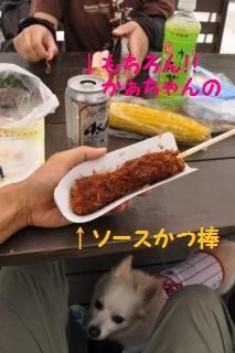 140907-k9.jpeg