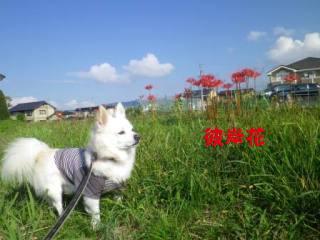 140922-1.jpg