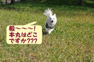 140923-k4.jpeg