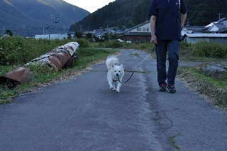 140928-k29.jpeg