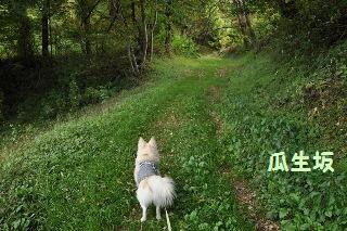 141004-k7.jpeg