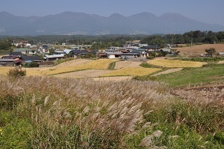 141011-k5.jpeg