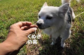 141011-k6.jpeg