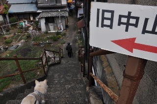 141012-k5.jpeg