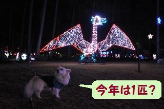 141018-k6.jpeg