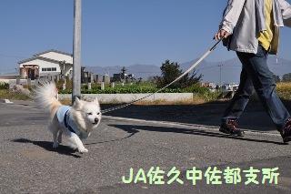 141019-k1.jpeg