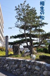 141019-k5.jpeg