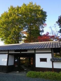 141023-1.jpg