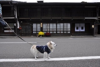141026-k11.jpeg