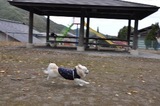 141026-k13.jpeg