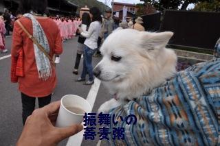 141026-k5.jpeg