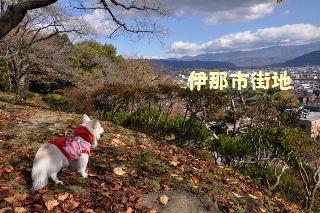 141115-k3.jpeg