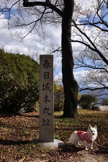 141115-k5.jpeg