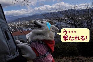 141115-k6.jpeg