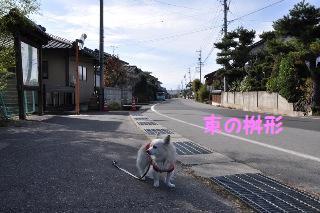 141116-k8.jpeg