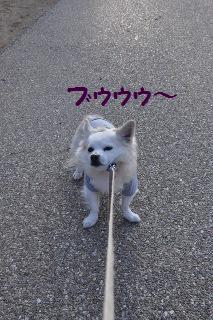 141123-k7.jpeg
