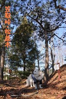 141124-k13.jpeg