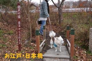141130-k2.jpeg