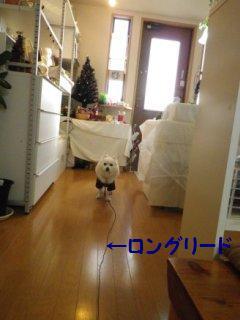141211-1.jpg
