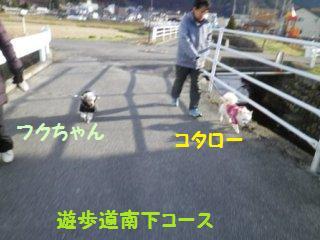 141213-1.jpg