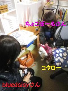 141213-8.jpg