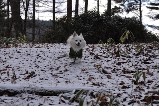 141214-k3.jpeg
